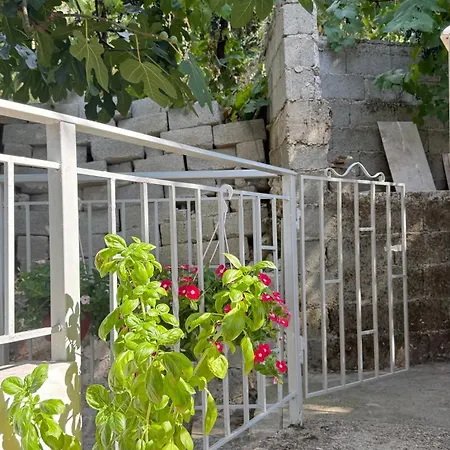 Zisi - Private En-suite Bed & Breakfast